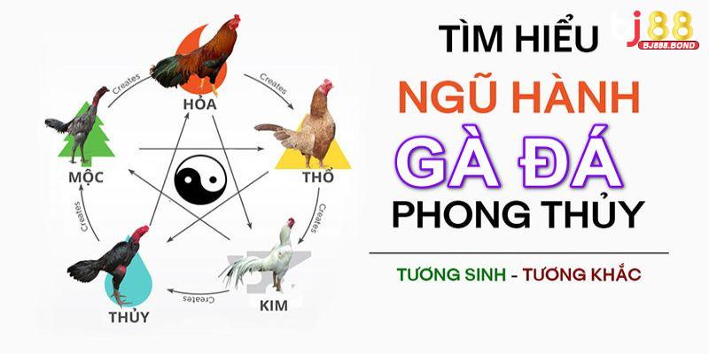 Bảng màu mạng gà đá là gì
