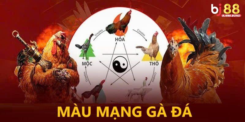 Bảng Màu Mạng Gà Đá – Bí Kíp Giúp Gà “Xanh Chín” Đúng Nghĩa