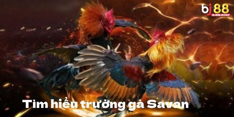 Bí kíp chinh chiến bất bại