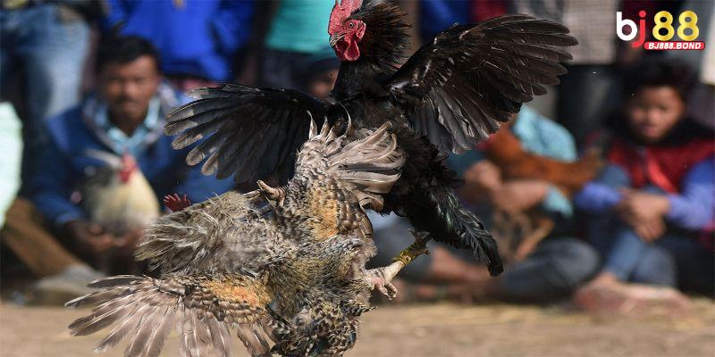 Chọn nền tảng xem uy tín