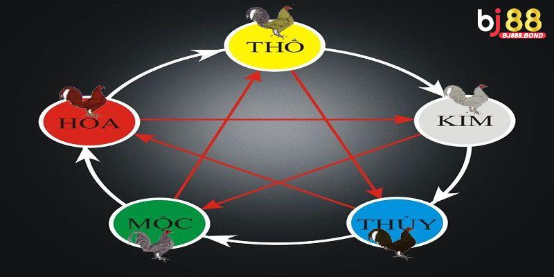 Kết hợp yếu tố thực tế và phong thuỷ