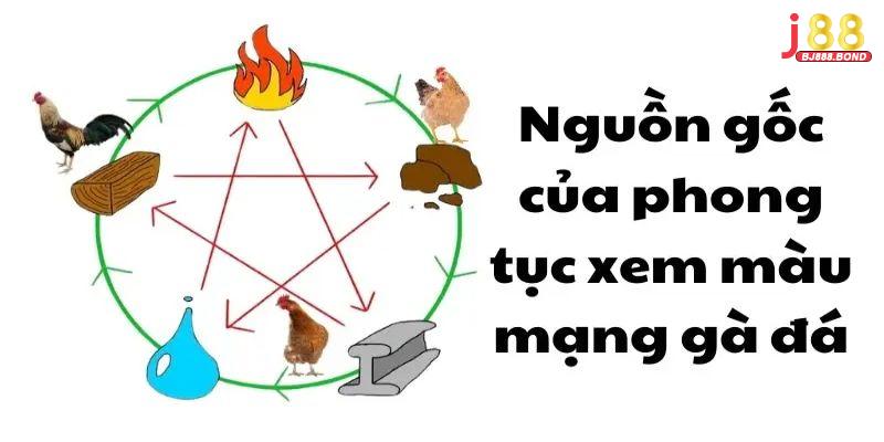 Tầm quan trọng của màu mạng